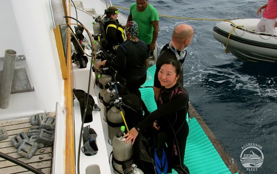Fiji Aggressor Ready for diving